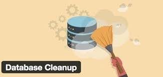 Clean Up the Database 